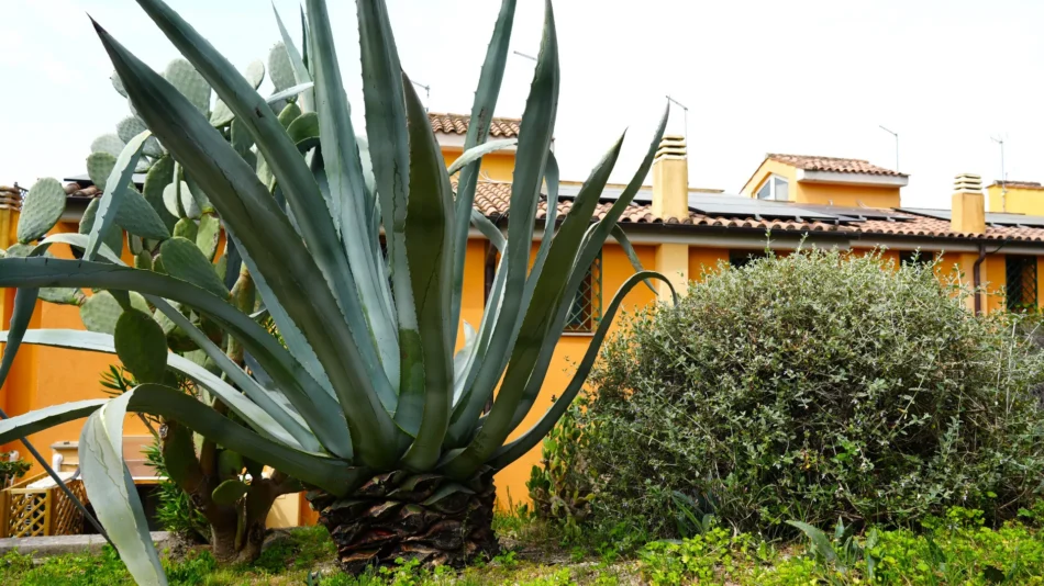 Esterno Jannuzzi House