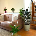 Soggiorno Jannuzzi House